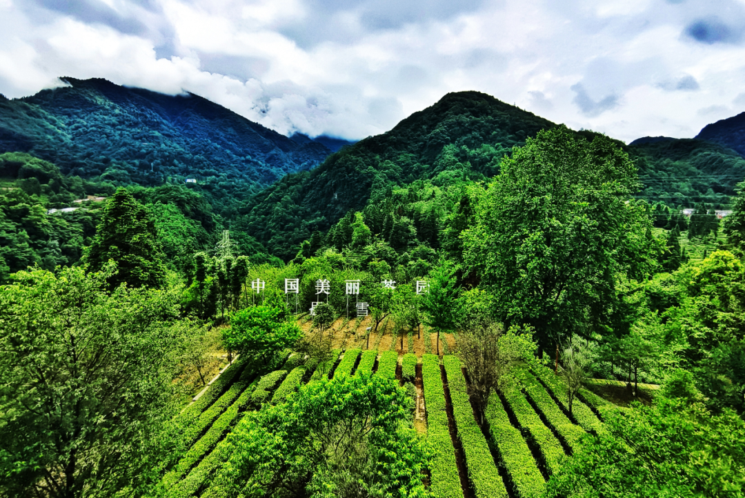 esball世博(中国区)官方网站