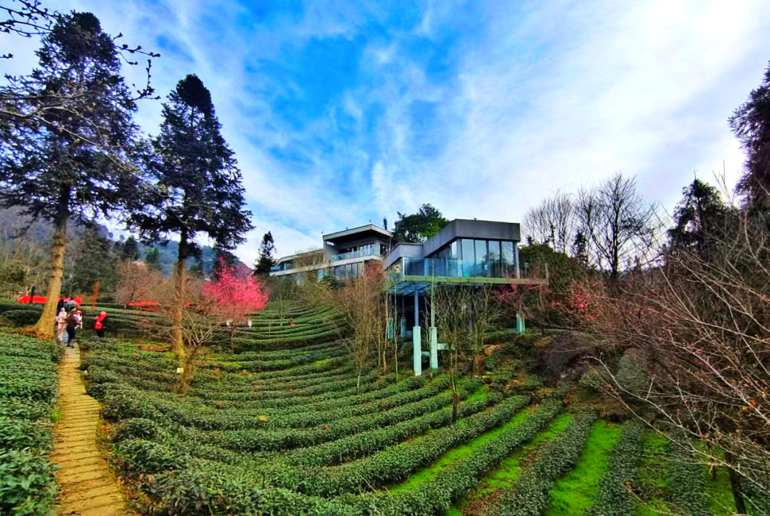 esball世博(中国区)官方网站